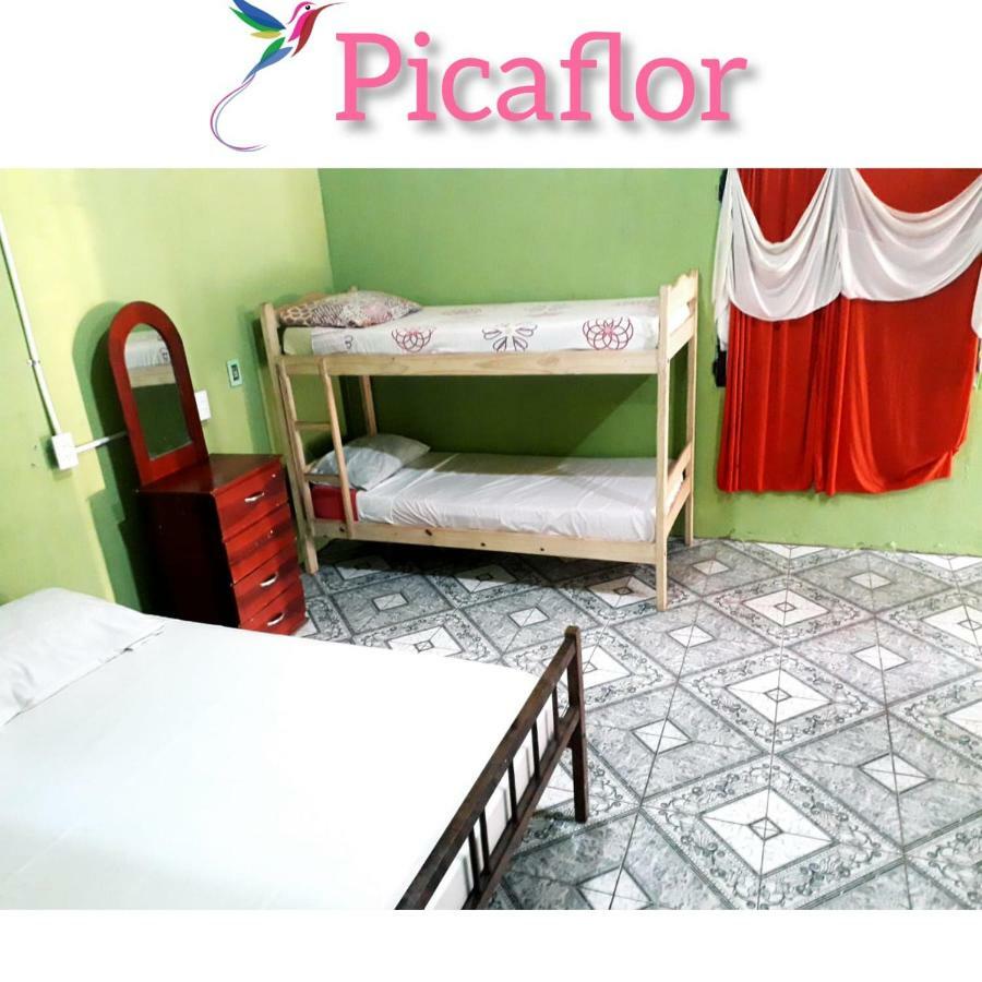 Alojamiento Picaflor Iguazu Hostel Puerto Iguazu Exterior photo